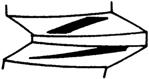 FX݆͜pX݆gZӹ݆X|zԇ