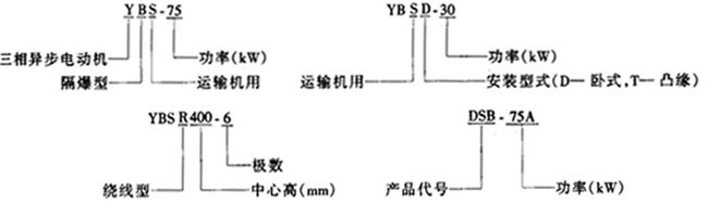 YBS系列運輸機用隔爆型異步電動機概述及結構簡介